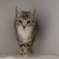 Photo of Smidge
