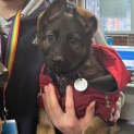 Photo of Amy
