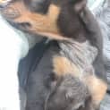 Photo of Zee