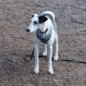 Photo of Sally