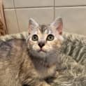 Photo of Marsha