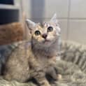 Photo of Marsha