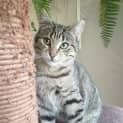 Photo of Tilly