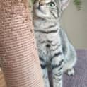 Photo of Tilly