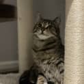 Photo of Tilly