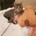 Photo of Tilly