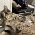 Photo of Tilly