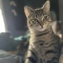 Photo of Tilly
