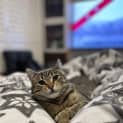 Photo of Tilly