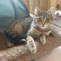 Photo of Tilly