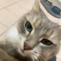 Photo of Missy