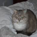 Photo of Missy