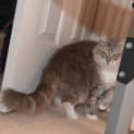 Photo of Missy
