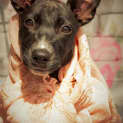 Photo of Amelia