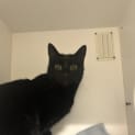 Photo of Klaus