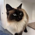 Photo of Moo