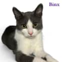 Photo of Binx