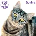 Photo of Sophia