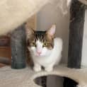 Photo of Oliver
