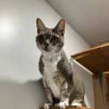 Photo of Mia
