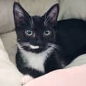 Photo of Azula