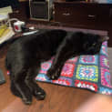 Photo of Jet