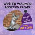 Photo of Mittens