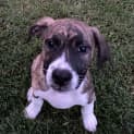 Photo of Roly
