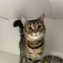 Photo of Wednesday