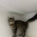 Photo of Wednesday