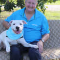 Photo of Bandit