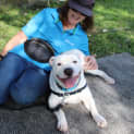 Photo of Bandit