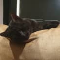 Photo of Monty
