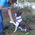 Photo of Zoe