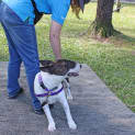 Photo of Zoe