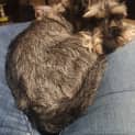 Photo of Photon