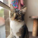 Photo of Truffle