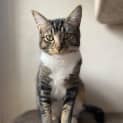Photo of Truffle