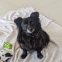 Photo of Sally