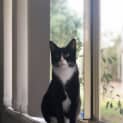 Photo of Zeldon