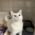 Photo of Olaf