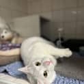 Photo of Olaf