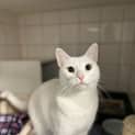 Photo of Olaf