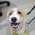 Photo of Kodie