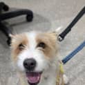 Photo of Kodie
