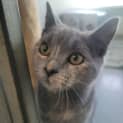 Photo of Skittles
