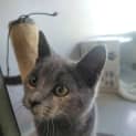 Photo of Skittles