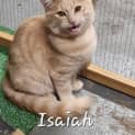 Photo of Isaiah