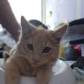 Photo of Isaiah
