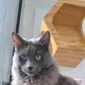 Photo of Finnigan
